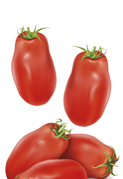 Ristoris Pomodoro San Marzano Dell' Agro Sarnese - Nocerino D.O.P. - 1625g